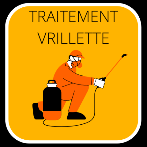 Traitements Professionnels Contre Les Vrillettes Prix Et Importance